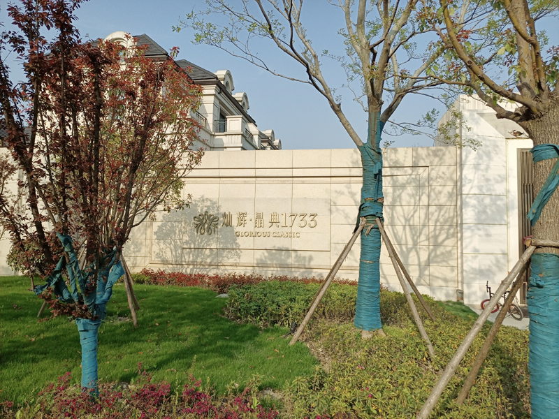 上海燦輝晶典1733