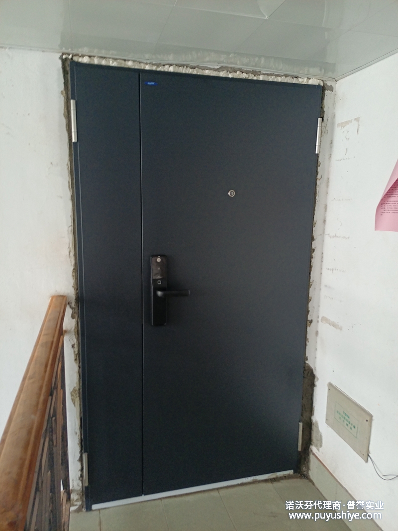 諾沃芬極簡入戶門