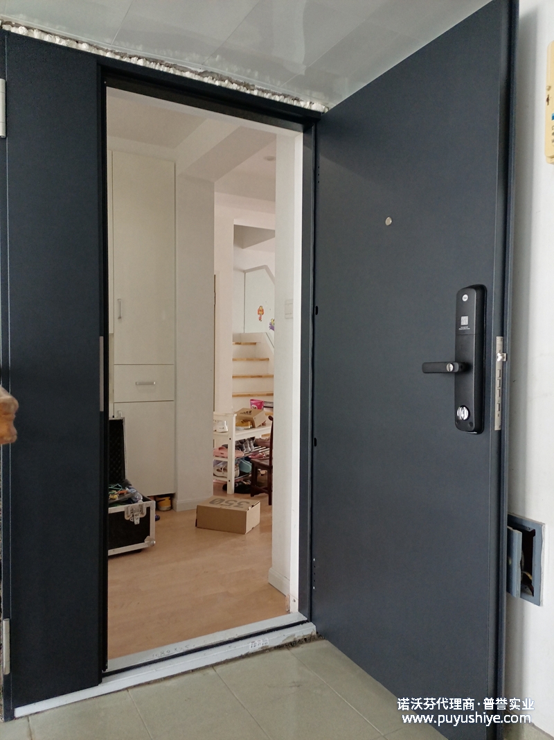 諾沃芬極簡入戶門